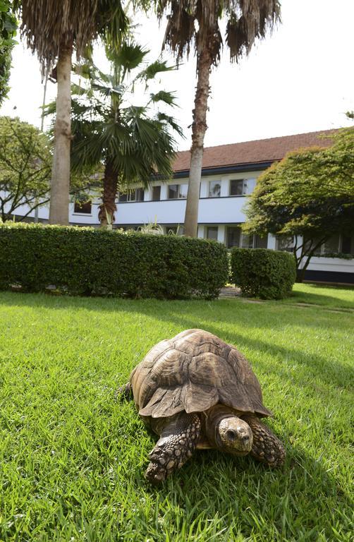 Lake Victoria Hotel Энтеббе Экстерьер фото